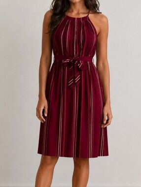RW&CO Medium Lined Sleeveless Burgundy Stripe Knee-Length Tie Waist Dress Summer